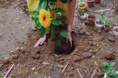 Fulora bageche udghatan (10)