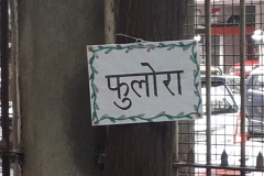 Fulora bageche udghatan (2)