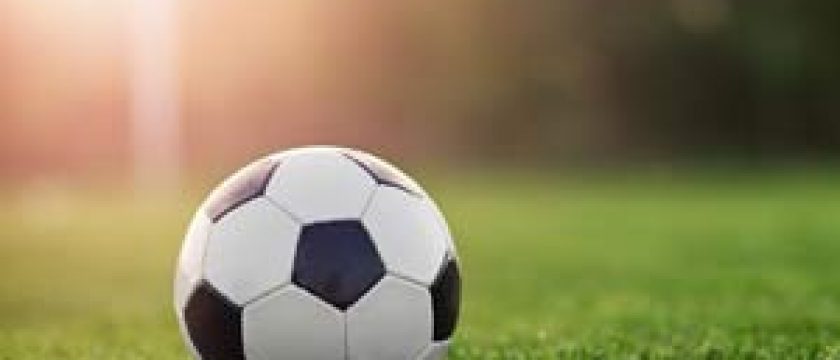 Grant sanctioned to PARLE TILAK VIDYALAYA (English Medium) Secondary