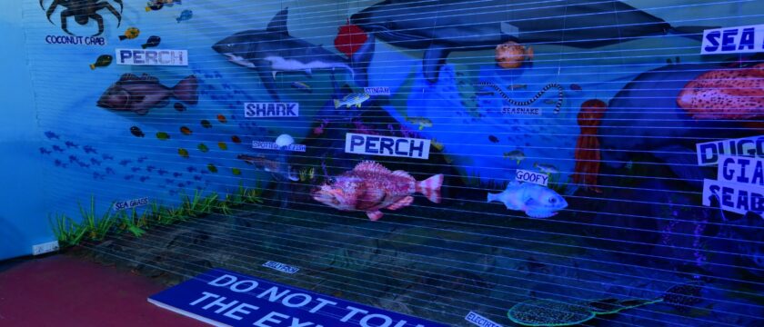 महासागर याविषयावरील भव्य प्रदर्शन – पहिला दिवस